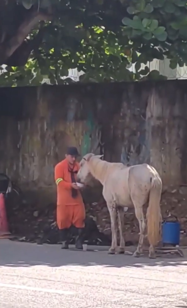 agrandeartedeserfeliz.com - Gari para tudo que estava fazendo para dar água para cavalo que passava mal em rua de Belém (PA)