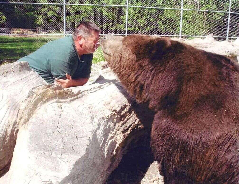 agrandeartedeserfeliz.com - Casal acolhe filhotes de urso órfãos e os trata como se fossem seus próprios filhos