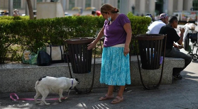 agrandeartedeserfeliz.com - Idosa despejada da própria casa com seu cachorro recebe ajuda anônima e ganha lar pra morar