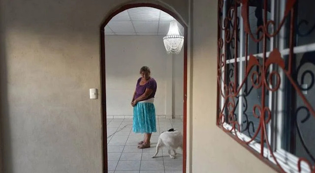 agrandeartedeserfeliz.com - Idosa despejada da própria casa com seu cachorro recebe ajuda anônima e ganha lar pra morar