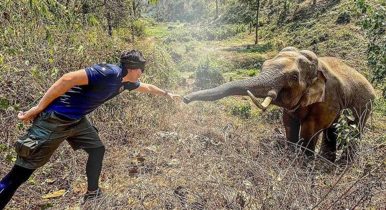 agrandeartedeserfeliz.com - Elefante reconhece veterinário que cuidou dele 12 anos atrás: 'Amigo fiel'