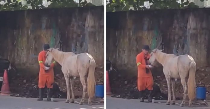 Gari para tudo que estava fazendo para dar água para cavalo que passava mal em rua de Belém (PA)