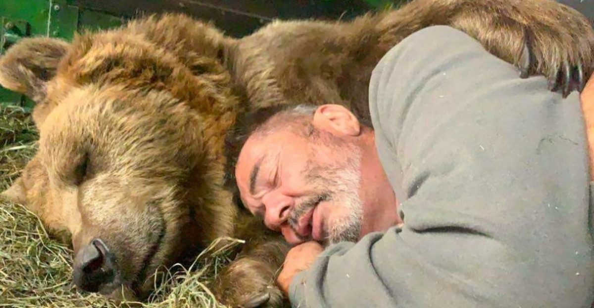 agrandeartedeserfeliz.com - Casal acolhe filhotes de urso órfãos e os trata como se fossem seus próprios filhos