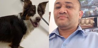 Porteiro de Guarujá (SP) encontra cãozinho desaparecido e rejeita recompensa de R$ 5 mil
