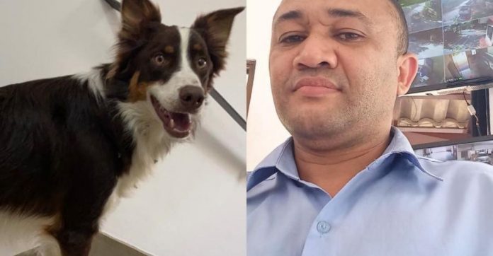 Porteiro de Guarujá (SP) encontra cãozinho desaparecido e rejeita recompensa de R$ 5 mil