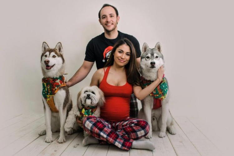 agrandeartedeserfeliz.com - Companhia aérea permite embarcação de 2 cães Husky Siberiano em voo com sua família