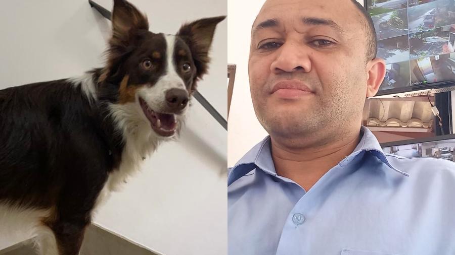 agrandeartedeserfeliz.com - Porteiro de Guarujá (SP) encontra cãozinho desaparecido e rejeita recompensa de R$ 5 mil