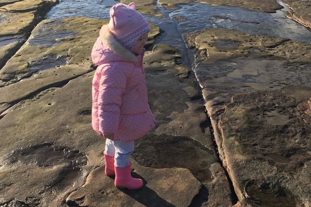 agrandeartedeserfeliz.com - Menina de 4 anos descobre uma enorme pegada de dinossauro de 220 milhões de anos