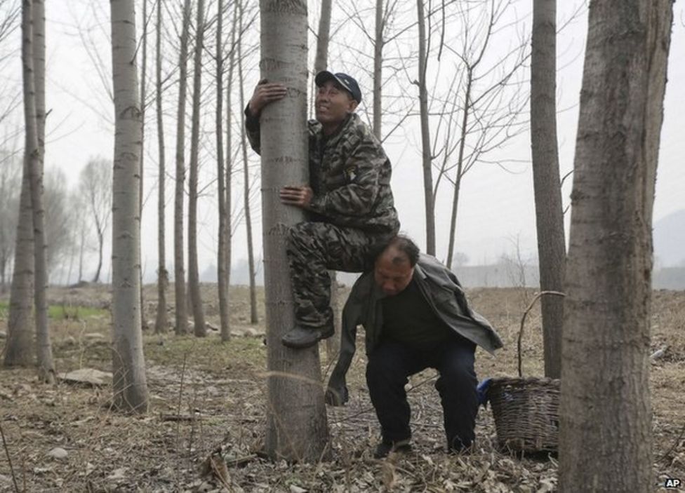 agrandeartedeserfeliz.com - Dupla de amigos - um cego e outro sem braços - reflorestam, juntos, mais de 10 mil árvores na China