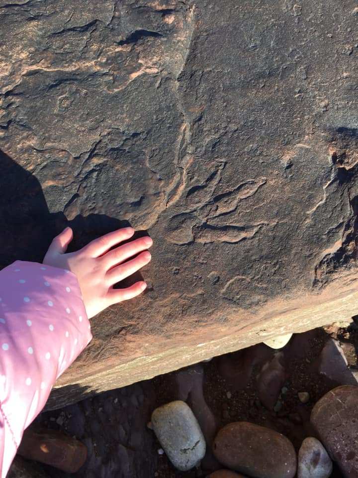 agrandeartedeserfeliz.com - Menina de 4 anos descobre uma enorme pegada de dinossauro de 220 milhões de anos