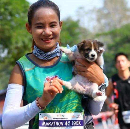 agrandeartedeserfeliz.com - Maratonista interrompe sua corrida para resgatar um cachorrinho sem-teto assustado