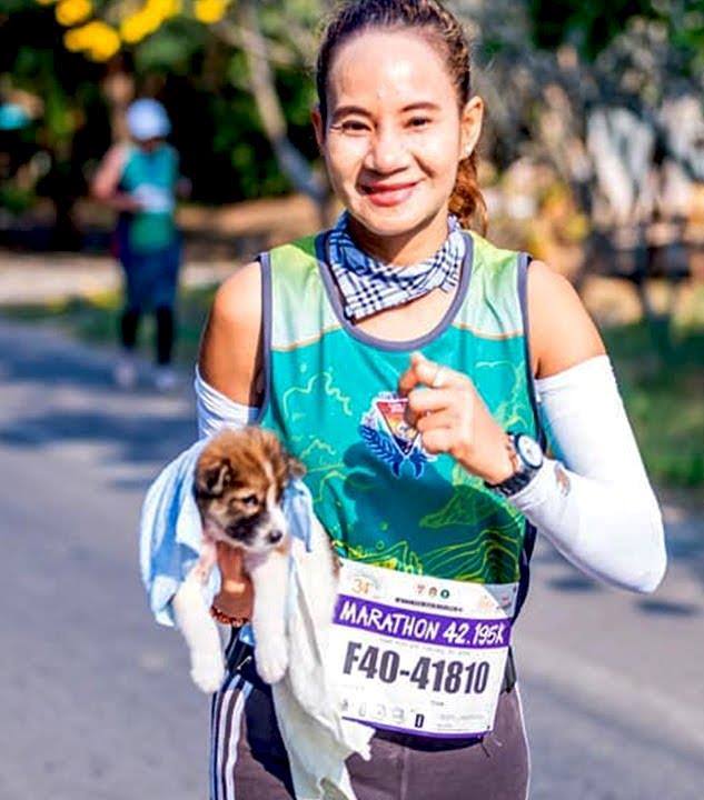 agrandeartedeserfeliz.com - Maratonista interrompe sua corrida para resgatar um cachorrinho sem-teto assustado