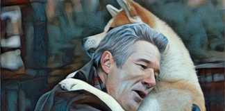 Hachiko: uma história que mostra o amor incondicional dos cães com seus tutores