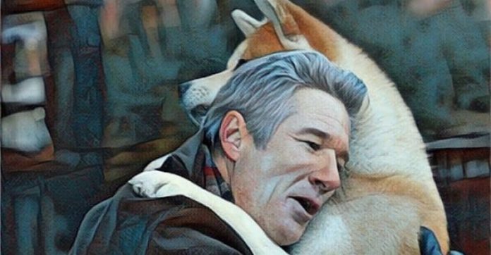 Hachiko: uma história que mostra o amor incondicional dos cães com seus tutores