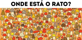 16 desafios visuais para quem gosta de treinar o cérebro