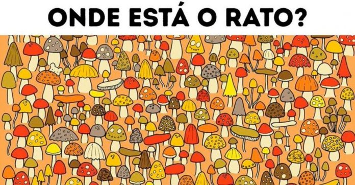 16 desafios visuais para quem gosta de treinar o cérebro