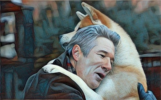 agrandeartedeserfeliz.com - Hachiko: uma história que mostra o amor incondicional dos cães com seus tutores