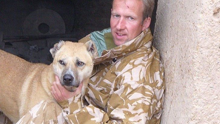 agrandeartedeserfeliz.com - Ex-fuzileiro resgata 170 animais que poderiam ser sacrificados pelo regime talibã no Afeganistão