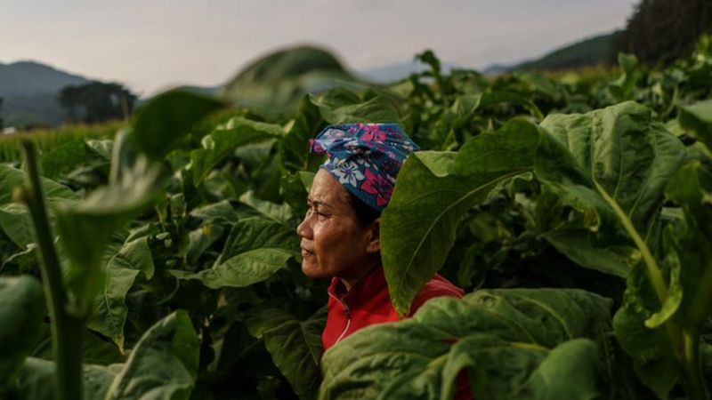 agrandeartedeserfeliz.com - 6 fatos que 'Round 6' nos ensina sobre a sociedade da Coreia do Sul