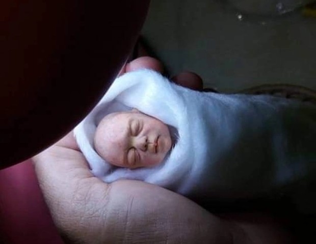 agrandeartedeserfeliz.com - Artesã de Goiás recria incríveis miniaturas de bebês reais; confira