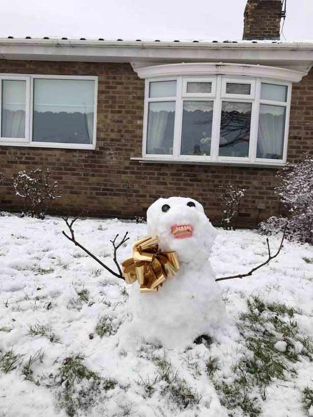 agrandeartedeserfeliz.com - Bisnetos 'roubam' dentadura da vovó e colocam em boneco de neve