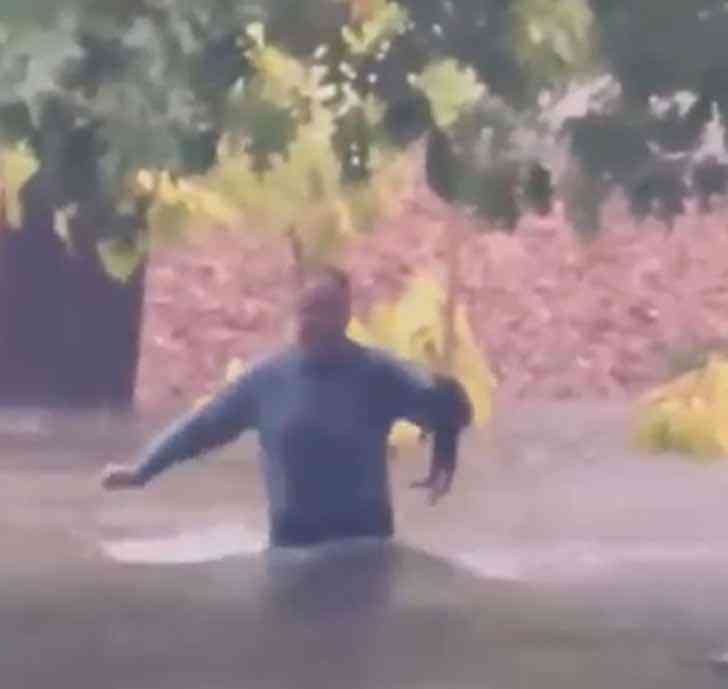 agrandeartedeserfeliz.com - Homem salva gatinha de afogamento durante enchente: 'Pude ouvir os miados dela' [VIDEO]
