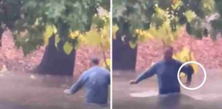 Homem salva gatinha de afogamento durante enchente: ‘Pude ouvir os miados dela’ [VIDEO]