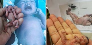 Artesã de Goiás recria incríveis miniaturas de bebês reais; confira