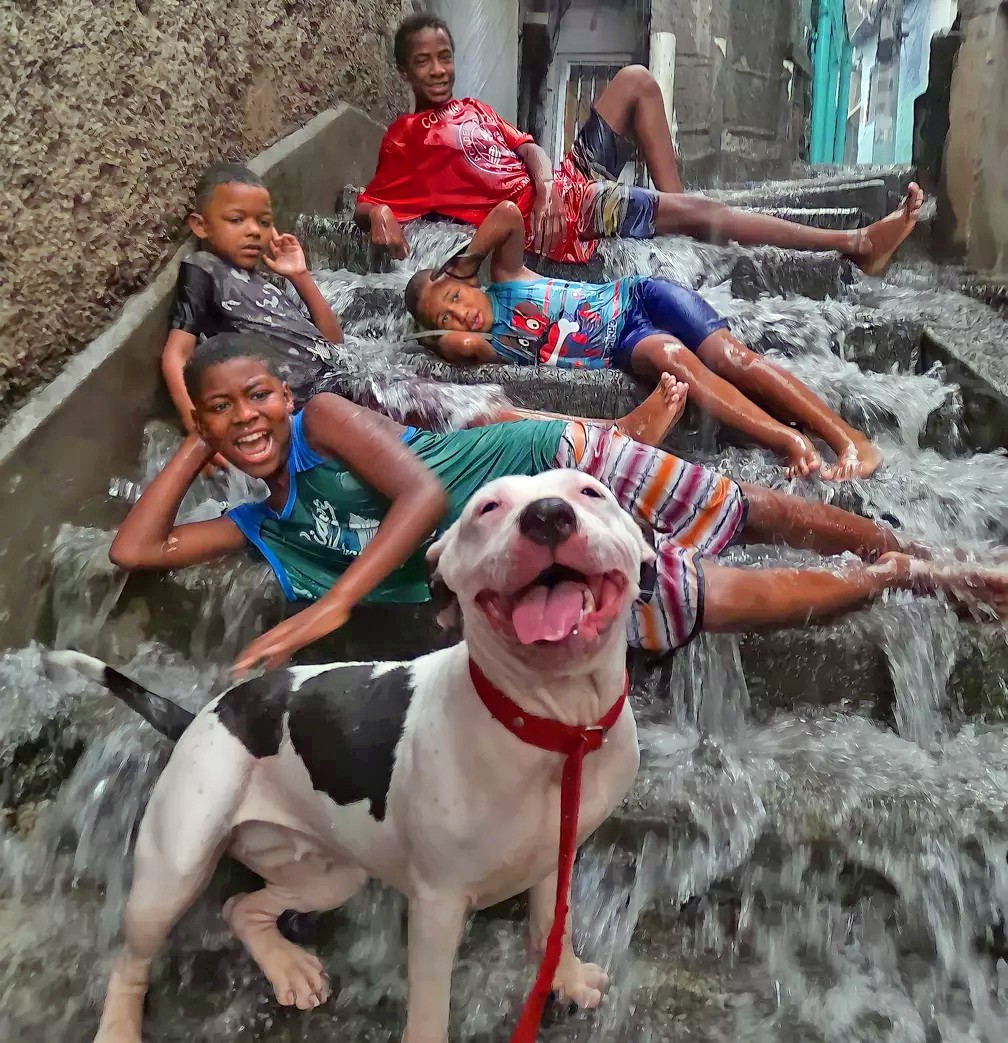 agrandeartedeserfeliz.com - Foto de crianças na chuva e cãozinho sorrindo em comunidade do Rio viraliza: 'Todo mundo feliz'