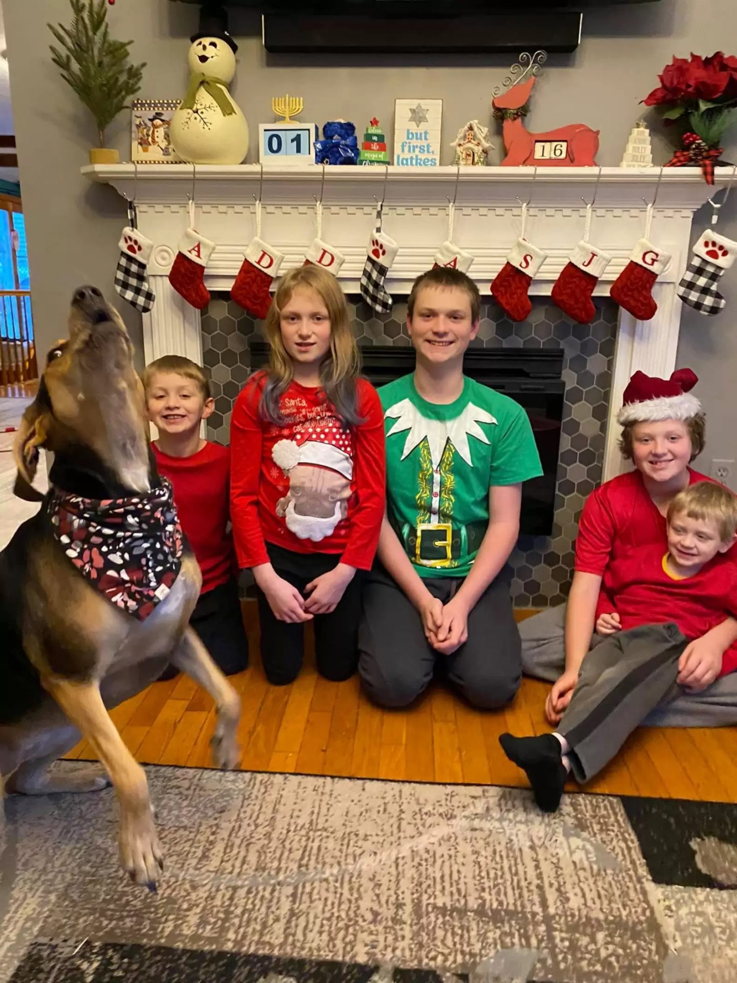 agrandeartedeserfeliz.com - Cachorrinha pula na frente de toda foto que sua mãe adotiva tira durante o Natal