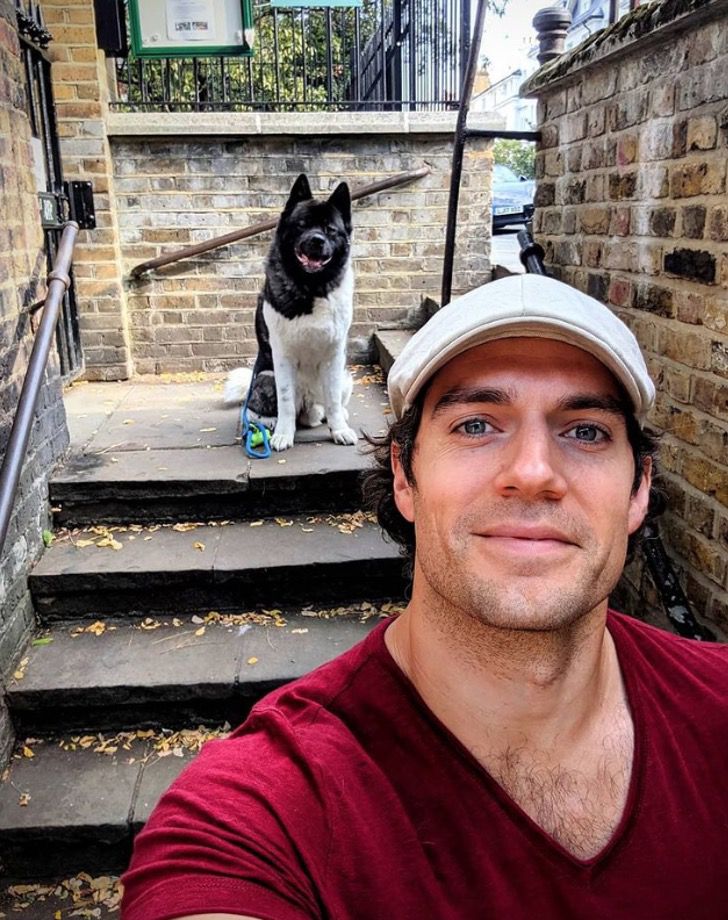 agrandeartedeserfeliz.com - Henry Cavill, o "Superman", agradece seu cãozinho Akita por salvar sua saúde mental: 'Meu melhor amigo'