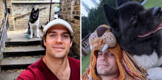 Henry Cavill, o “Superman”, agradece seu cãozinho Akita por salvar sua saúde mental: ‘Meu melhor amigo’