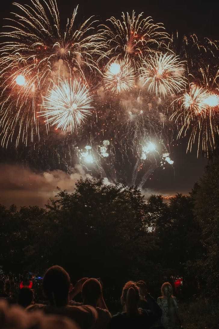 agrandeartedeserfeliz.com - Cãozinho assustado com barulho de fogos de artifício busca refúgio em casa de desconhecidos