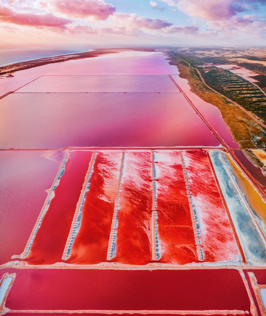 agrandeartedeserfeliz.com - Fotógrafo captura imagens impressionantes da Lagoa Pink Hutt, na Austrália; veja fotos