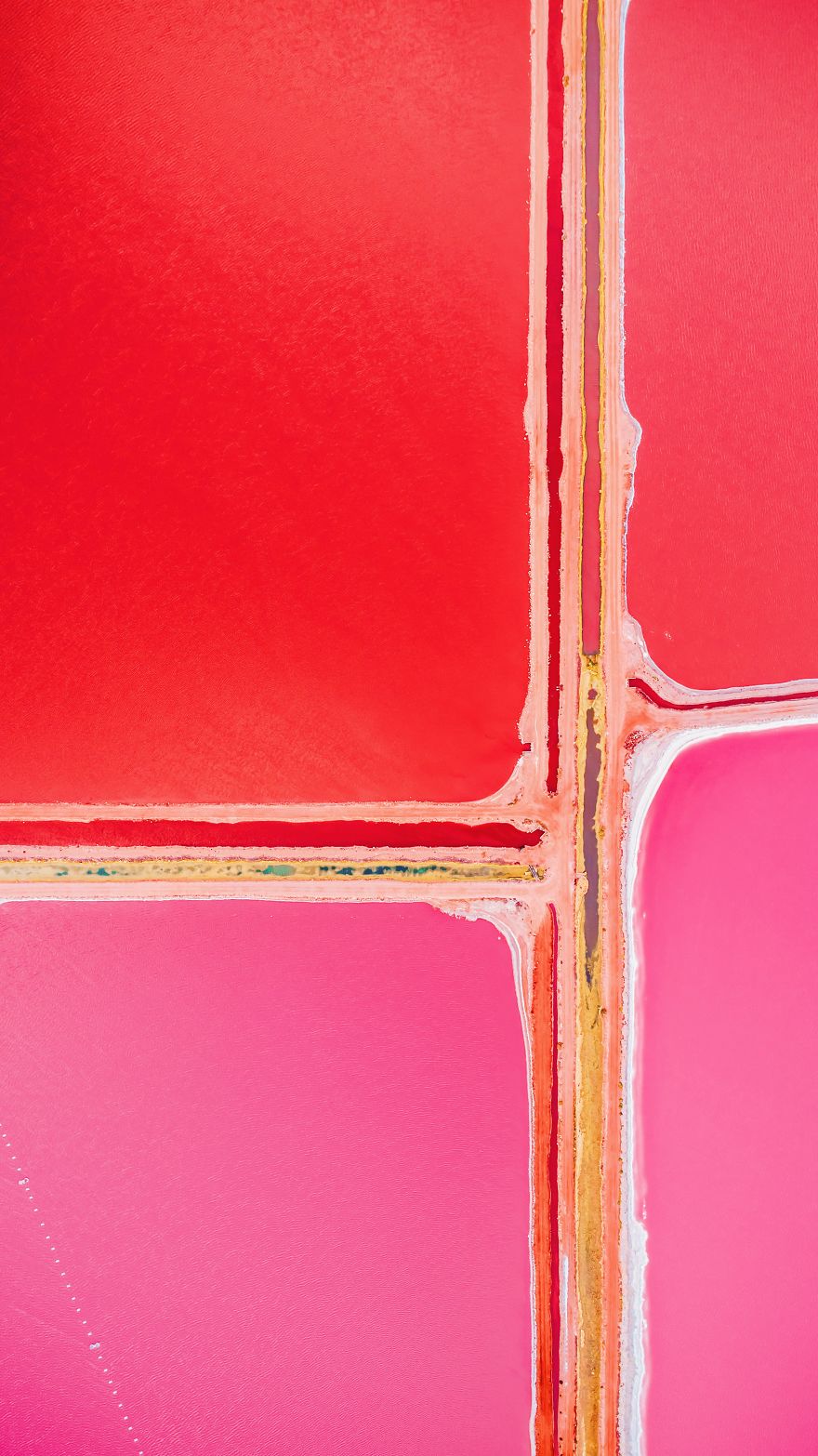 agrandeartedeserfeliz.com - Fotógrafo captura imagens impressionantes da Lagoa Pink Hutt, na Austrália; veja fotos