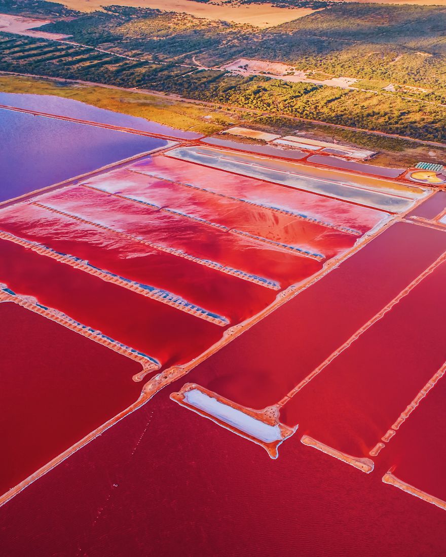 agrandeartedeserfeliz.com - Fotógrafo captura imagens impressionantes da Lagoa Pink Hutt, na Austrália; veja fotos