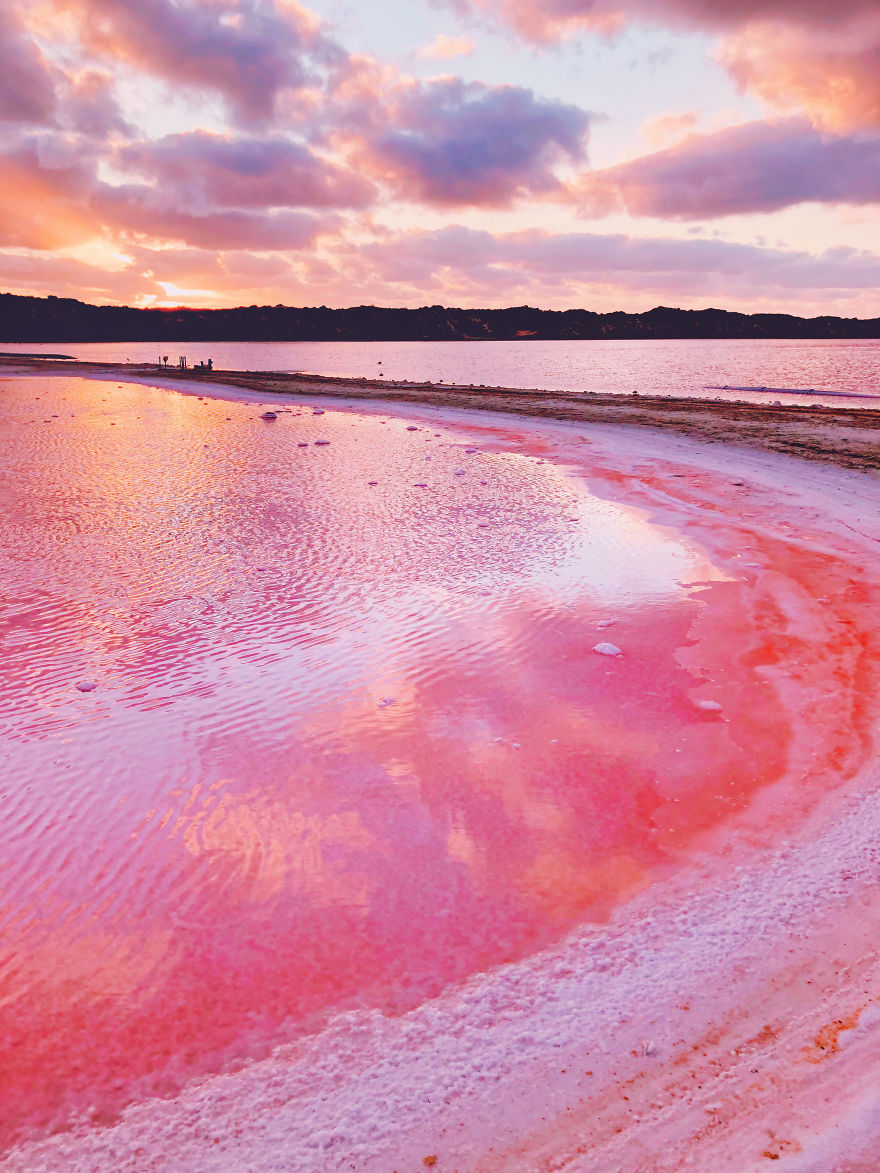 agrandeartedeserfeliz.com - Fotógrafo captura imagens impressionantes da Lagoa Pink Hutt, na Austrália; veja fotos