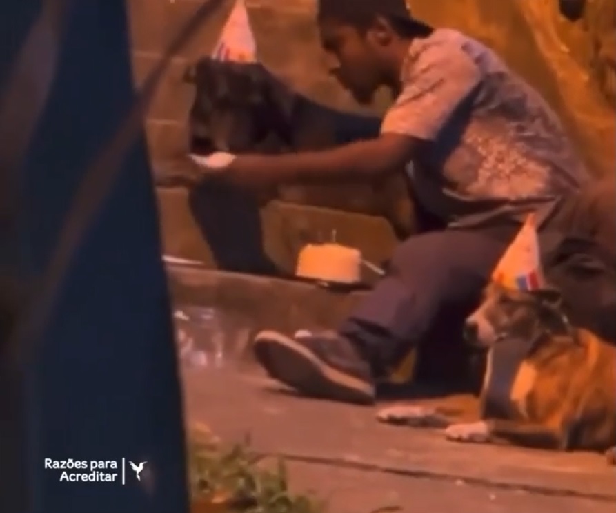 agrandeartedeserfeliz.com - Morador de rua comemora aniversário de seu cachorrinho e emociona web [VIDEO]
