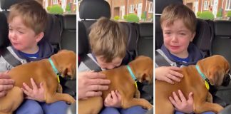 Criança chora de alegria ao ganhar um cachorrinho de presente [VIDEO]