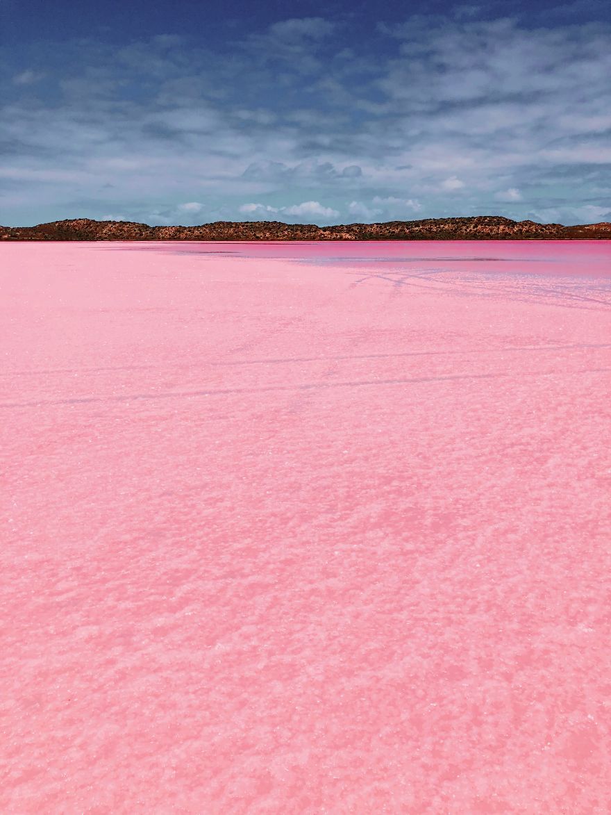 agrandeartedeserfeliz.com - Fotógrafo captura imagens impressionantes da Lagoa Pink Hutt, na Austrália; veja fotos