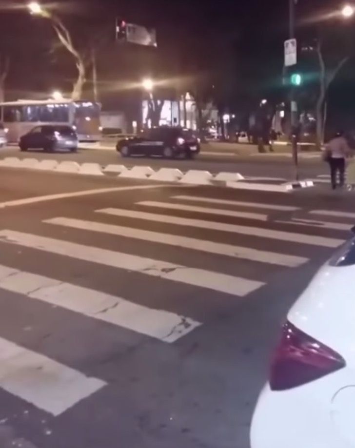 agrandeartedeserfeliz.com - Exemplo: Cachorrinho de rua espera o semáforo ficar verde para atravessar a rua [VIDEO]