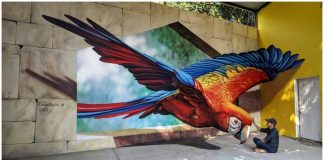Artista de rua mexicano cria impressionantes ilusões de ótica em 3D