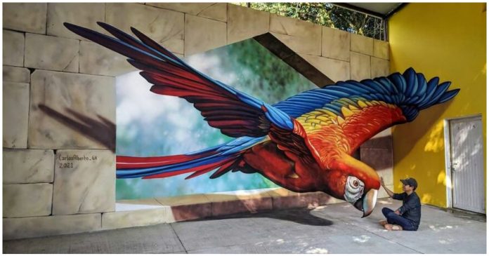 Artista de rua mexicano cria impressionantes ilusões de ótica em 3D