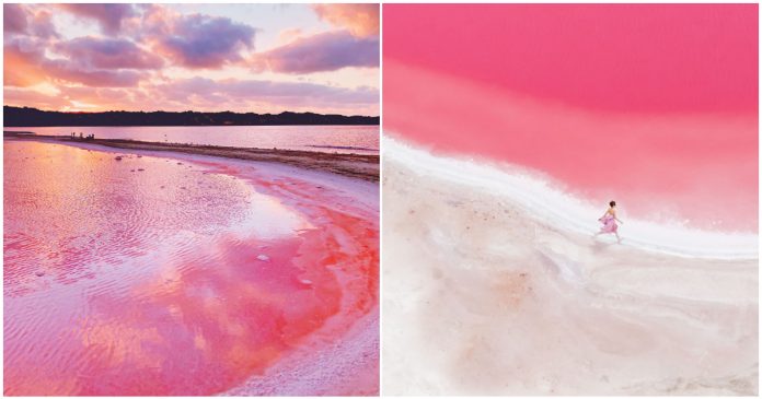 Fotógrafo captura imagens impressionantes da Lagoa Pink Hutt, na Austrália; veja fotos