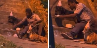 Morador de rua comemora aniversário de seu cachorrinho e emociona web [VIDEO]