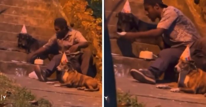 Morador de rua comemora aniversário de seu cachorrinho e emociona web [VIDEO]