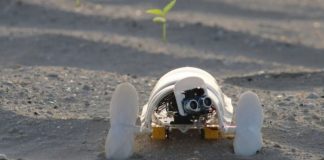 Estudante de Design cria robô autônomo que percorre desertos plantando sementes
