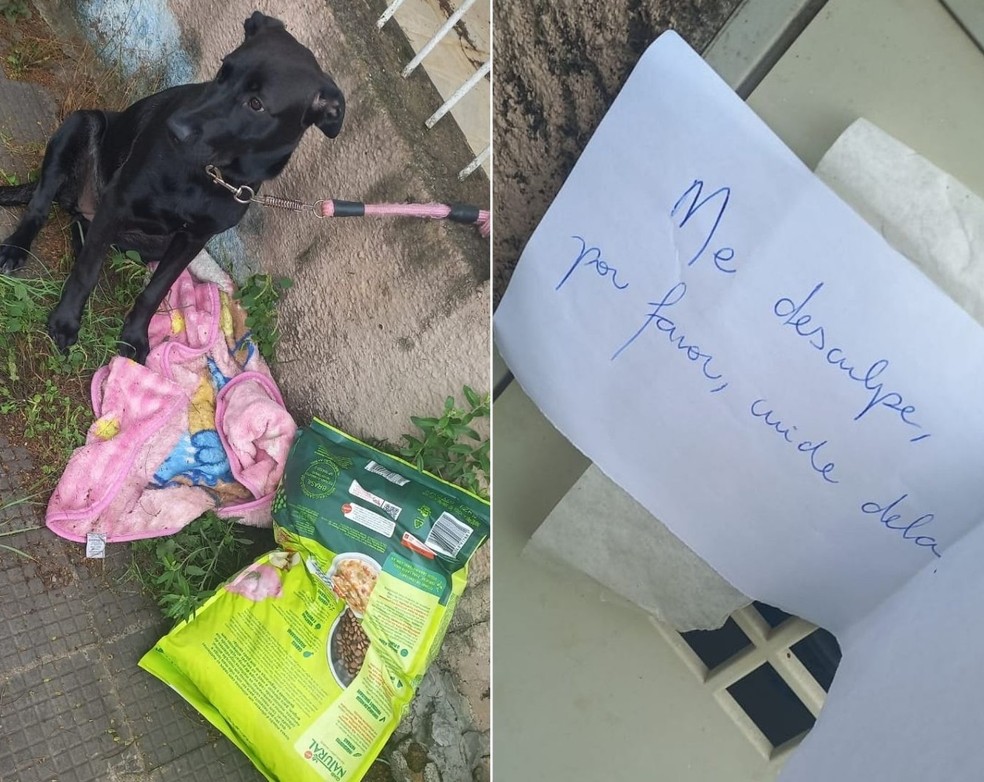agrandeartedeserfeliz.com - Família de SP adota cachorrinha abandonada com pedido de desculpas em bilhete