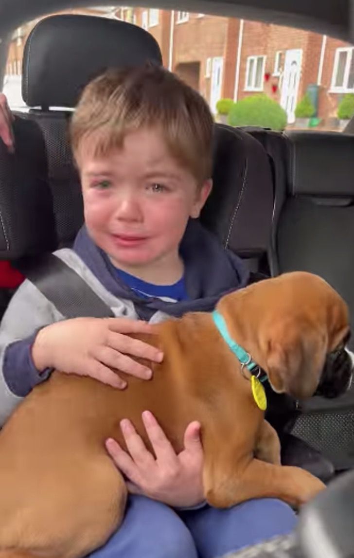 agrandeartedeserfeliz.com - Criança chora de alegria ao ganhar um cachorrinho de presente [VIDEO]
