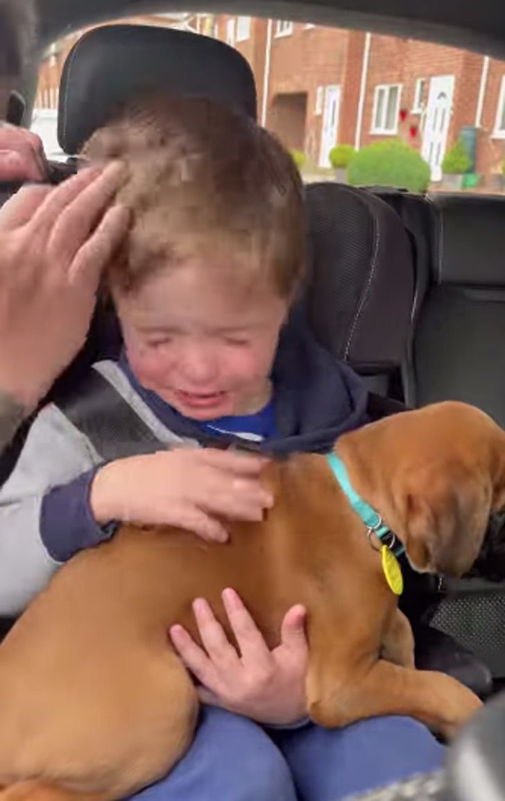 agrandeartedeserfeliz.com - Criança chora de alegria ao ganhar um cachorrinho de presente [VIDEO]
